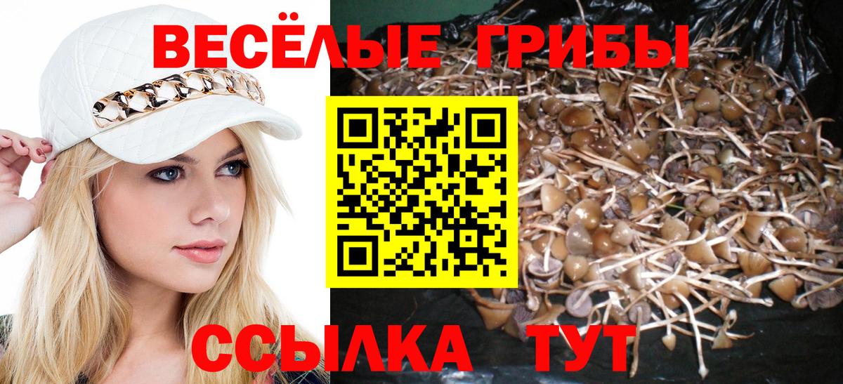 Псилоцибиновые грибы прущие грибы Вязники